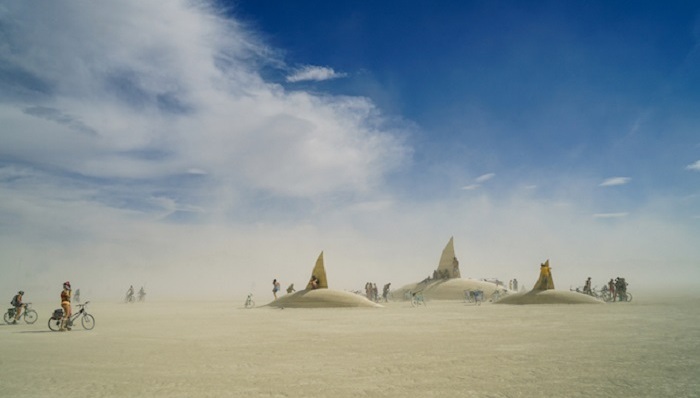 书评,科学新知,火人节