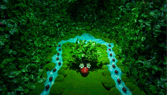 【个人意见】《女他》：若你喜欢怪鞋 其实她很美