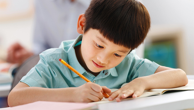 校外培训机构,国务院