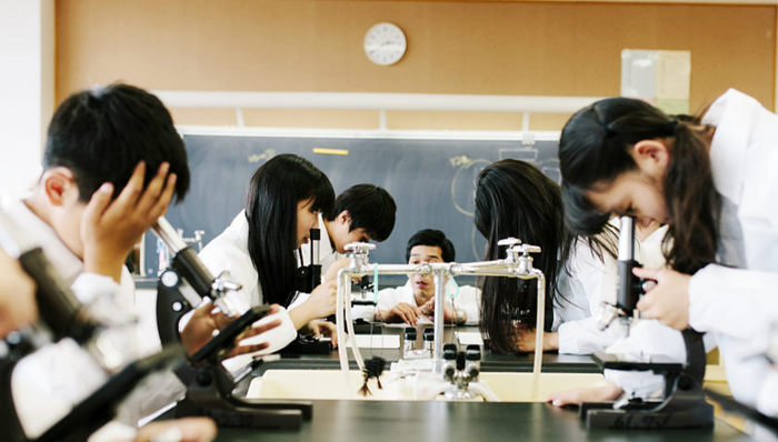 学科,排名,高校