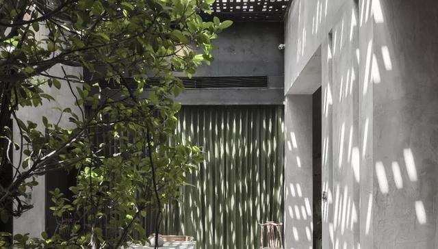 徐梁：拒绝平凡，乐享鲜活，美好生活从菜场开始