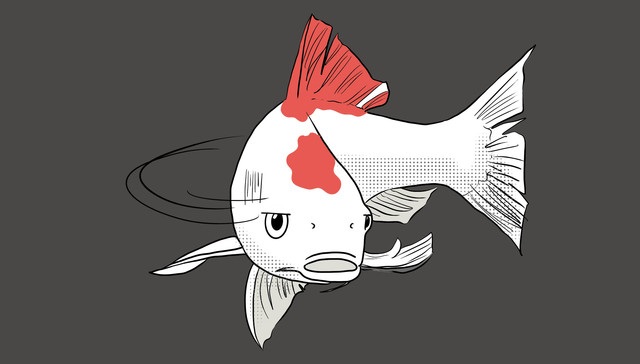 转发这条……转鲤吗！