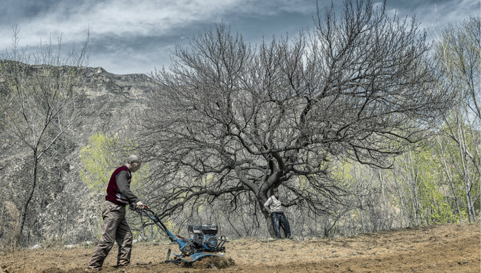 文旅背后 资金之下：乡村振兴的出路在何方