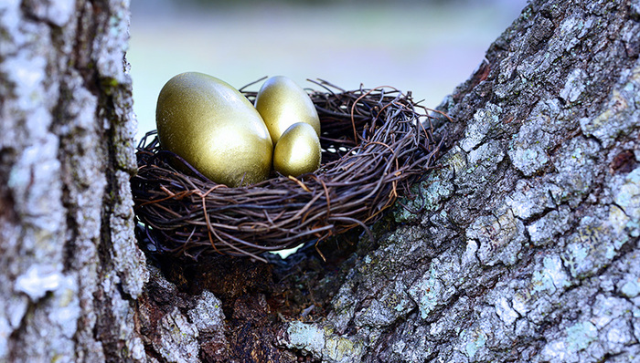 首只养老目标基金下周二开始发行，将只在直销平台销售