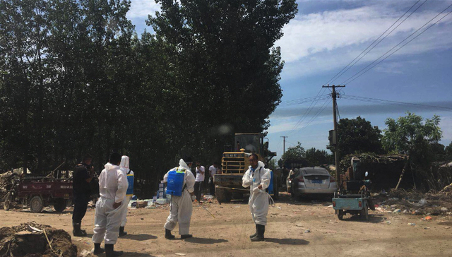 寿光市,蔬菜大棚,卫生防疫