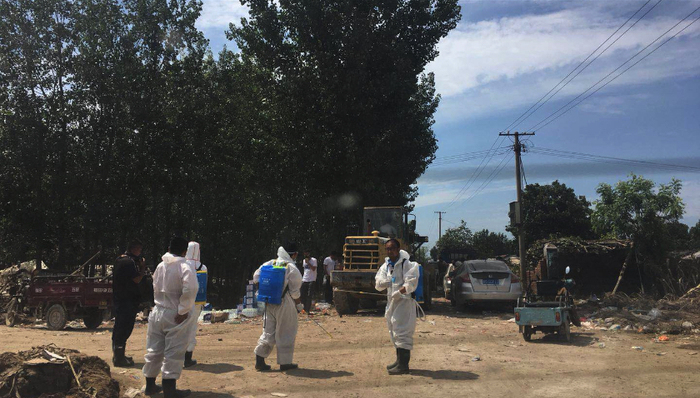 寿光市,蔬菜大棚,卫生防疫