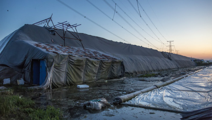 寿光市,蔬菜大棚,洪灾