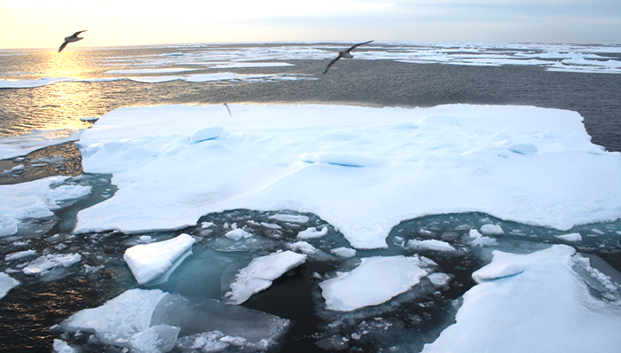 北极,气候变暖,书评