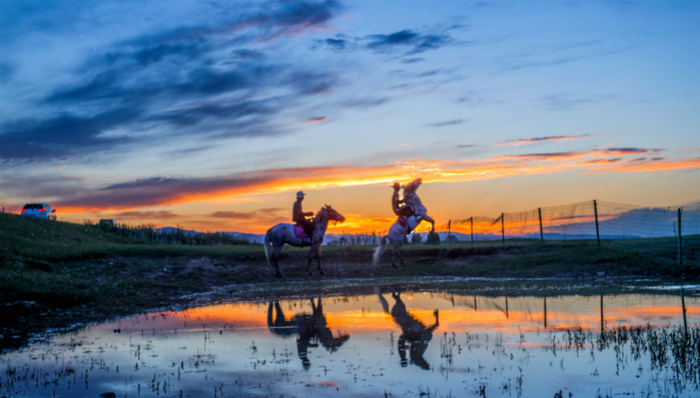 青海省将与中科院合力建设国家公园研究院