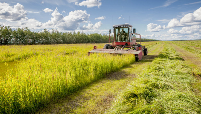 财经速递,占用耕地