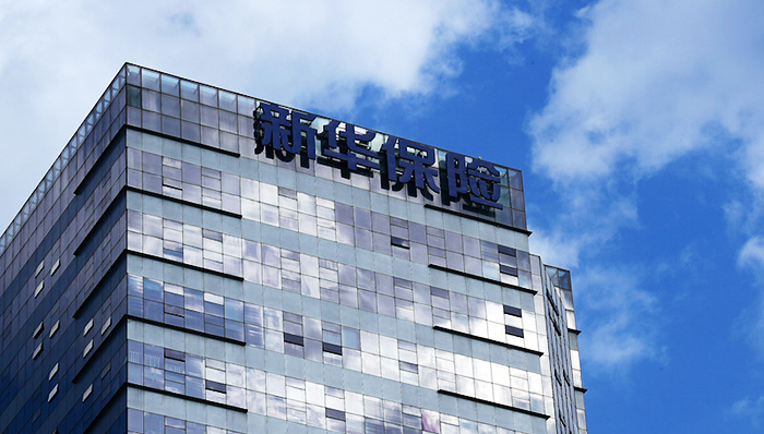 新华保险，保费，投资，续期，健康险