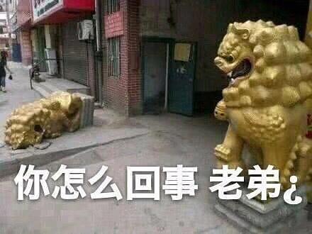 脑洞家