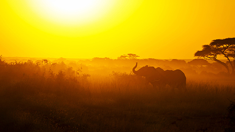 新华社推出中非合作主题纪录片《与非洲同行》
