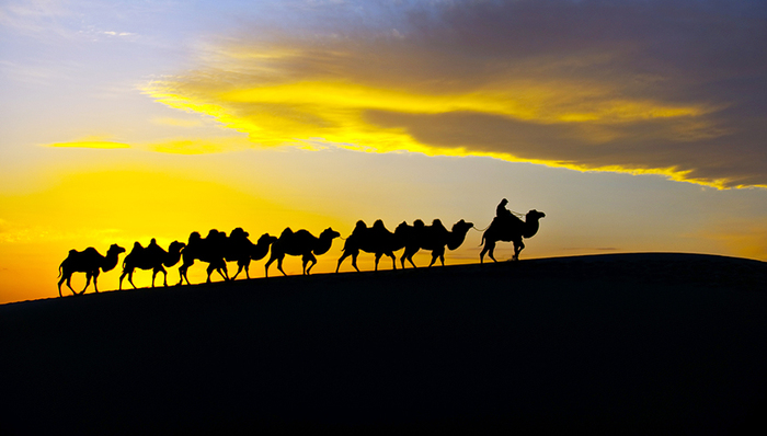 一带一路,贸易投资自由化便利化,总书记,重要讲话,全球治理,联通,认真学习,统一思想,互利共赢,深化