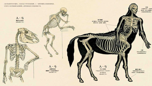 当人不再是人：神话与文学中的变形