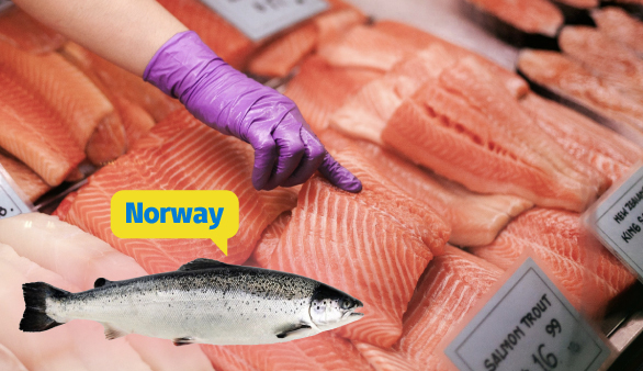 酷乐研究所 | 就是想生吃三文鱼？那你可能要买挪威的