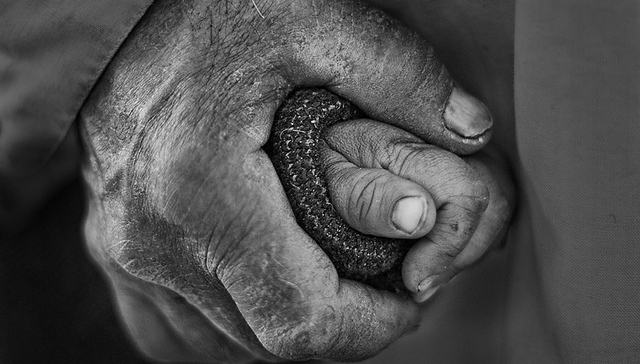 国家统计局,扶贫,贫困人口