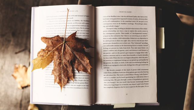 【一周新书推荐】“翻开一本书 你就走到了一段漫长路程的尽头”