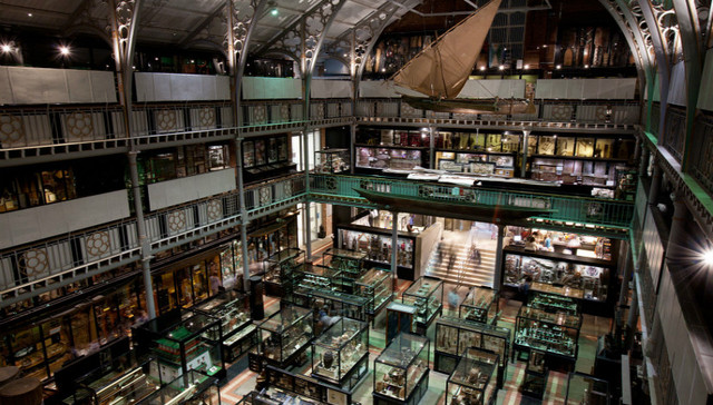 巴西国家博物馆的一场大火，让我们重新关注全球重要的人类学博物馆