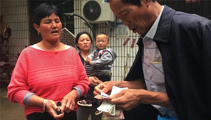 王凤雅,陈岚,名誉权