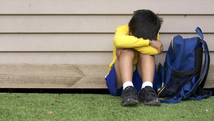 校园暴力,聚众斗殴罪,强迫卖淫罪,故意杀人罪