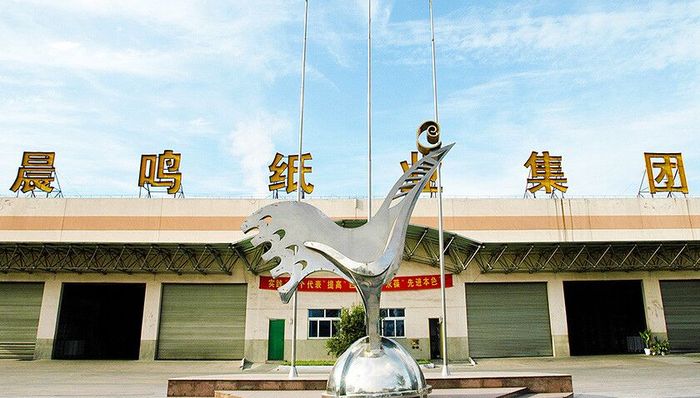 晨鸣纸业,增持,权益工具,投资性房地产,公司股价,公司公告,公司业绩,公司主营业务,公司资产,公司股