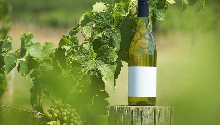 澳大利亚,经济世界观,天下故事