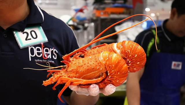 政策利好中资“加持” 澳企带着海鲜和医术进军中国市场