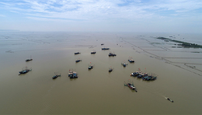 洪泽湖污染,鱼蟹死亡事件,暴雨泄洪