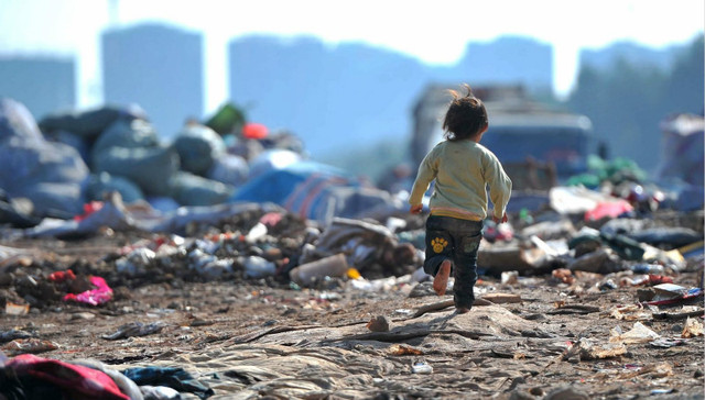 程序员每天晚上都去翻垃圾，竟然年入60万美元？