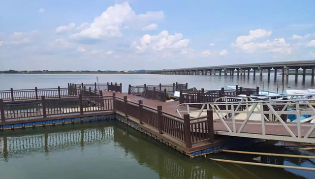 青岚湖自然保护区,南昌湿地,候鸟