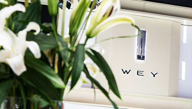 长城汽车,SUV,中国市场