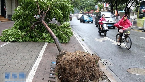 停工、停产、停课 广州防台风I级应急响应启动