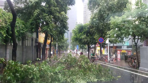 “山竹”傍晚前后登陆广东 粤桂闽琼转移26万人