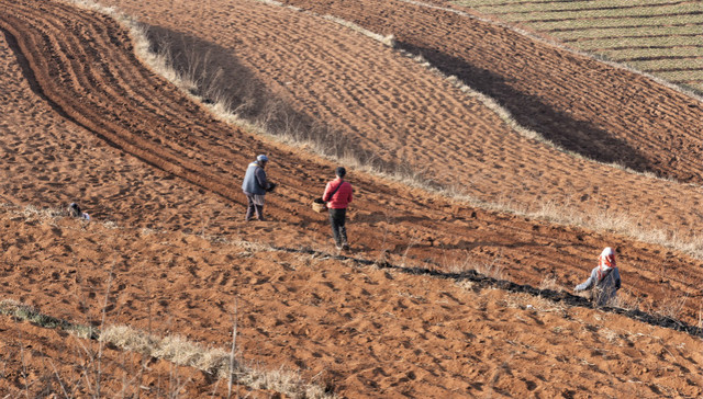 刘世锦：要让农村宅基地流转 给小产权房出路