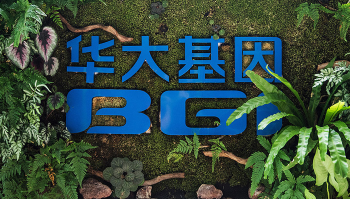 华大基因,腐败,王德明