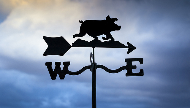 猪价,温氏,非洲猪瘟,股份,8月,养殖场,农业农村,此次,洮南市,统计局数据