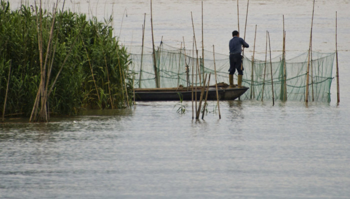 生态环境,长江,渔业