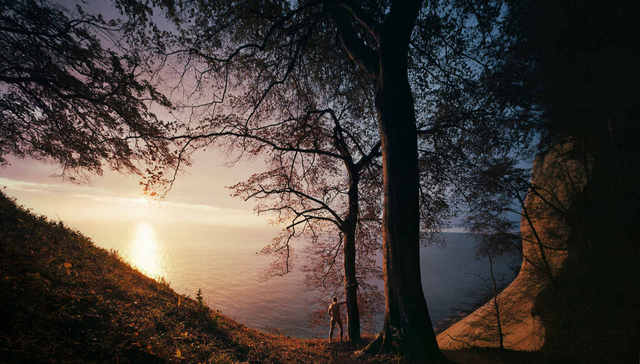 安德里亚斯·穆埃的德国摄影：从云海中的漫步者到森林里的独裁者