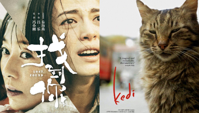 影讯 | 姚晨马伊琍《找到你》为女性发声 《爱猫之城》走近猫咪圣地