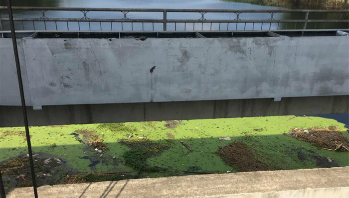 洪泽湖,鱼蟹死亡,泄洪