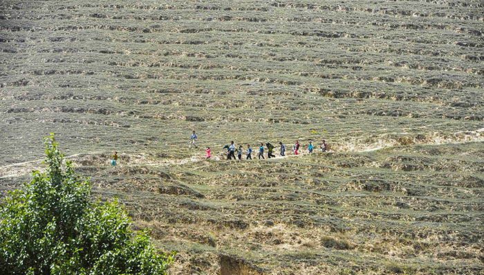 习近平,回族村,生态服务功能,同心清真大寺,封沙育草,贺兰山国家级自然保护区,烯烃项目,党中央,宁夏