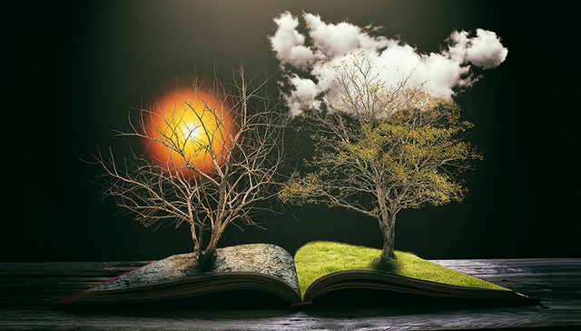 【直击达沃斯】气候变化问题几乎已至“绝境” 中国的绿色领导力仍有待加强