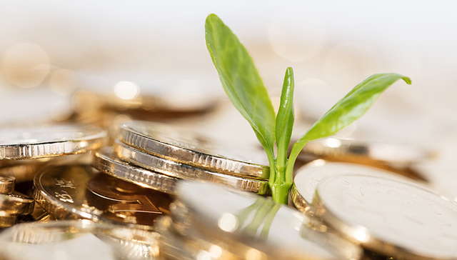 又一家百亿级私募转战公募基金 朱雀资本牌照获批历时两年