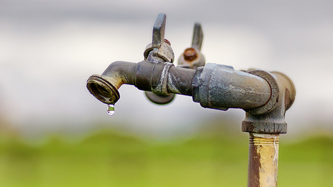 习近平三次来到宁夏，对这件“小事”很挂心