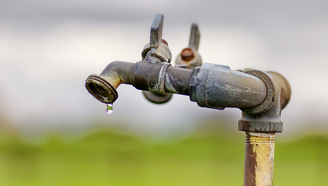 习近平,宁夏,三北防护林工程,西海固地区,脖子,李浙,蔬菜之乡,蓄水,资料图,生态移民