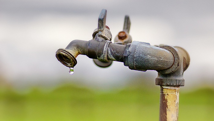 习近平,宁夏,三北防护林工程,西海固地区,脖子,李浙,蔬菜之乡,蓄水,资料图,生态移民