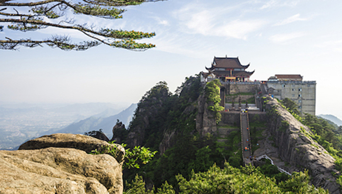 门票,旅游风向标