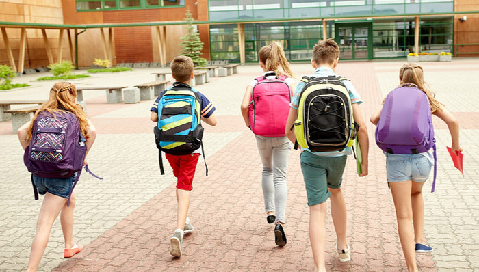 竞赛,教育部,证书