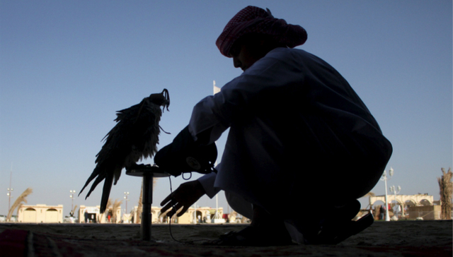 主权财富基金,投资卡塔尔投资局,跨境投资,陆金所,互联网金融